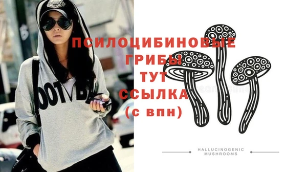Альфа ПВП Волосово