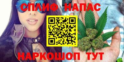прущие грибы Малгобек