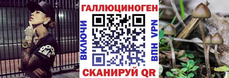 Псилоцибиновые грибы ЛСД  KRAKEN ссылки  Елец 