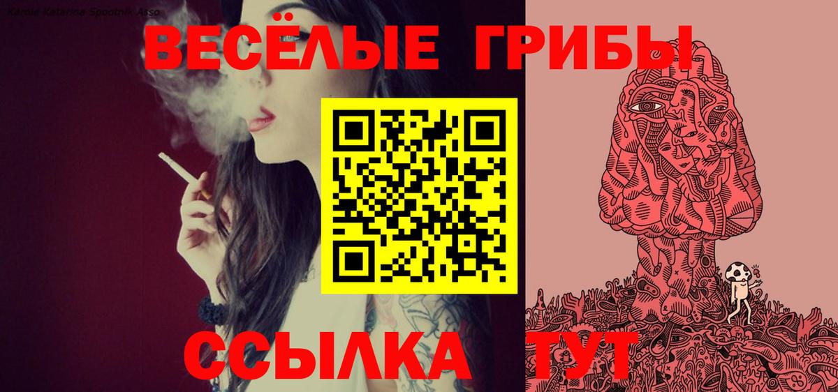 Елец  Псилоцибиновые грибы Psilocybine cubensis  Вход с VPN 
