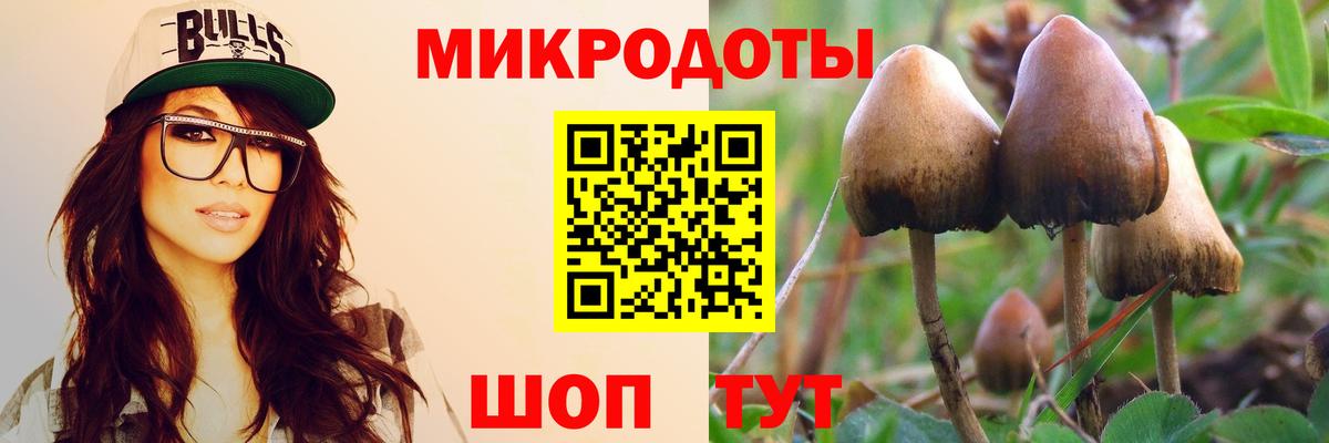 Галлюциногенные грибы ЛСД Елец